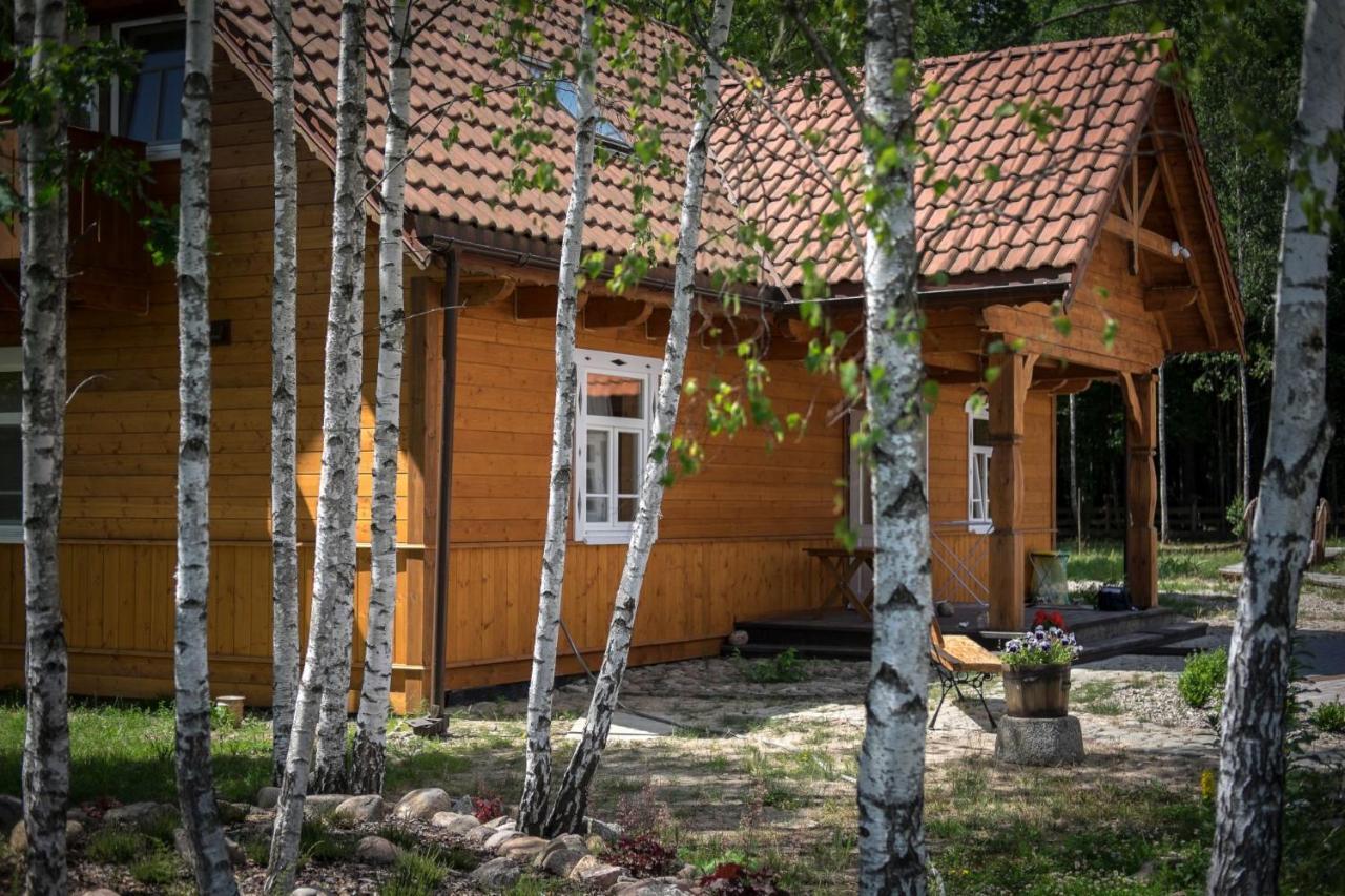 BiałowieżaMiodowa Kolonia住宿加早餐旅馆 外观 照片